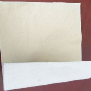 复合土工膜(一布一膜)