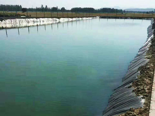 鱼池防渗膜工程