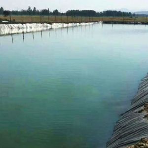 鱼池防渗膜工程